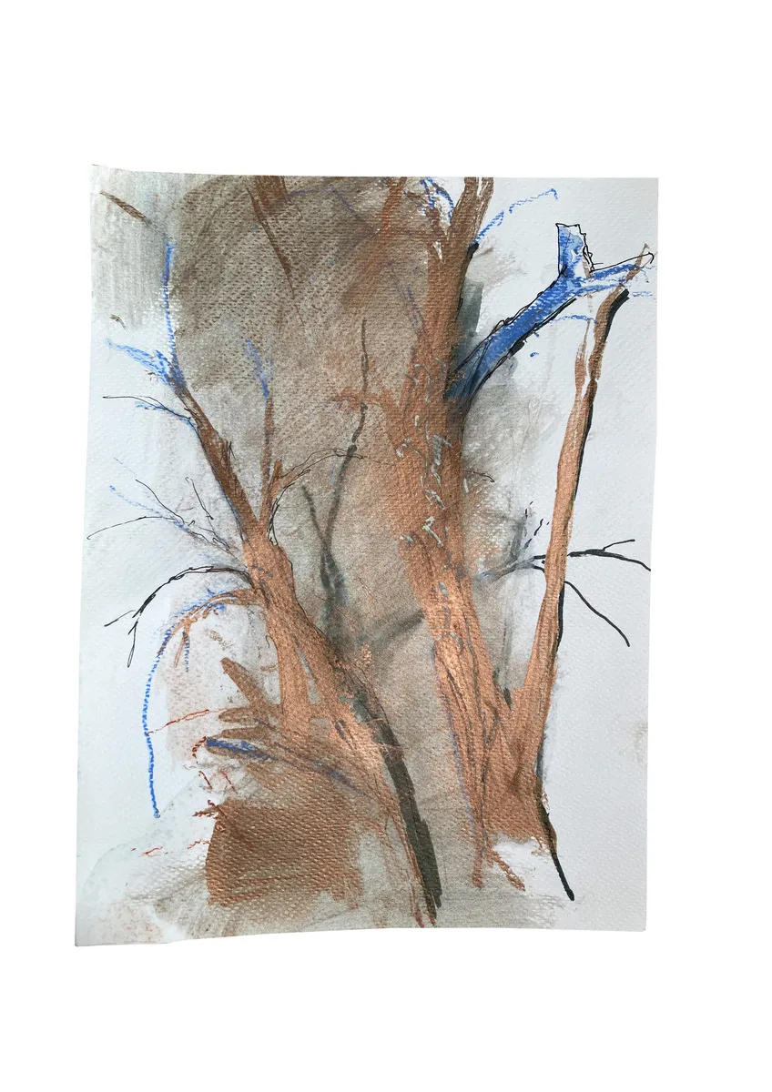 BOSCO 2019 serie Radicarsi, studio per Bergamo N°5 tecnica mista su carta 240 x 180 mm