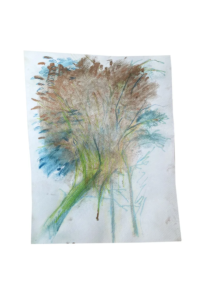 BOSCO, 2019 serie Radicarsi, studio per Bergamo N°1 tecnica mista su carta 240 x 180 mm