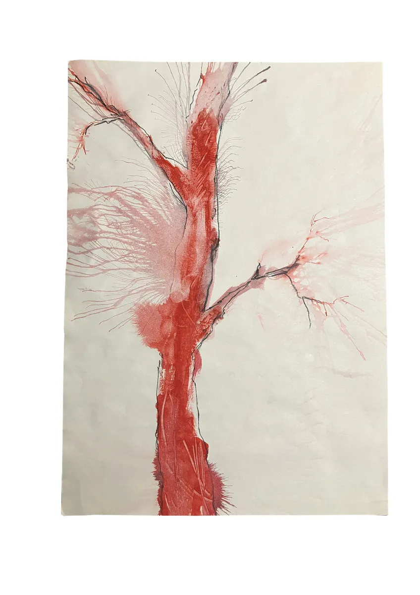 KURA HALOS CASA ,2018, serie Kura Halos china e penna nera su carta 29,6x21cm