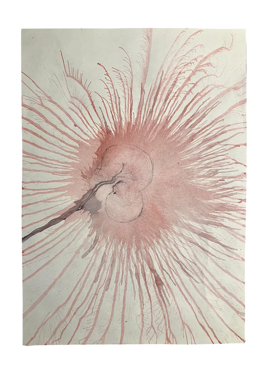 KURA HALOS CASA, 2018, serie Kura Halos china rossa e grafite su carta 29,4x21cm