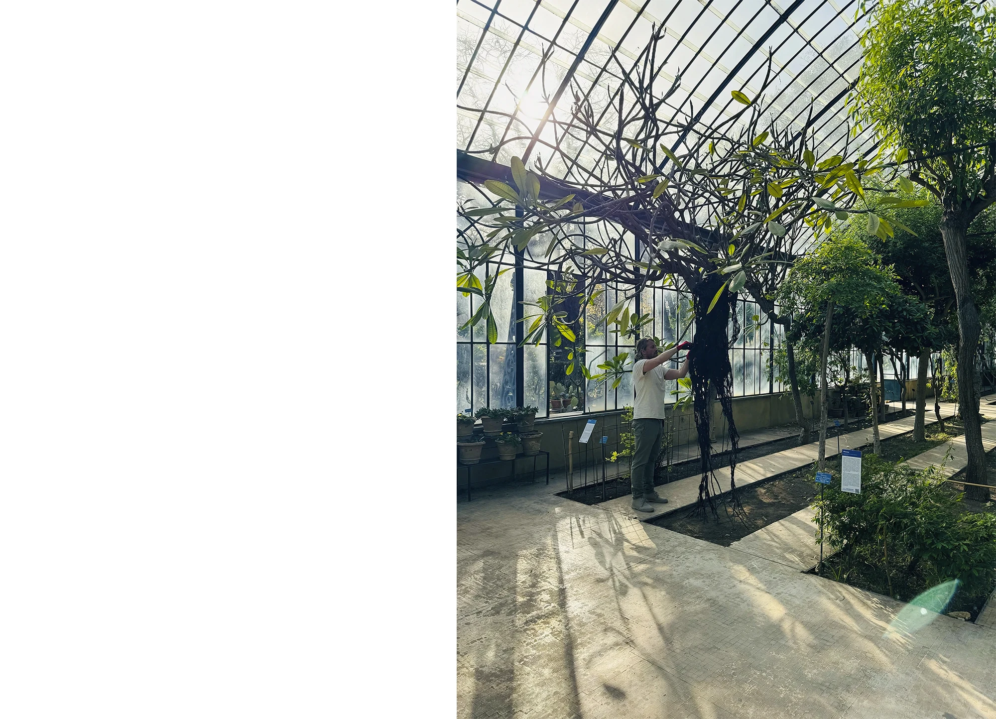 damiano cao palermo IMG_8822-1